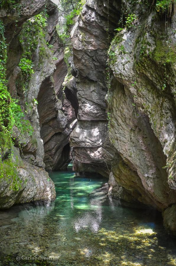 Dolomitiloungebelluno Mountain Resources Ξενοδοχείο Εξωτερικό φωτογραφία